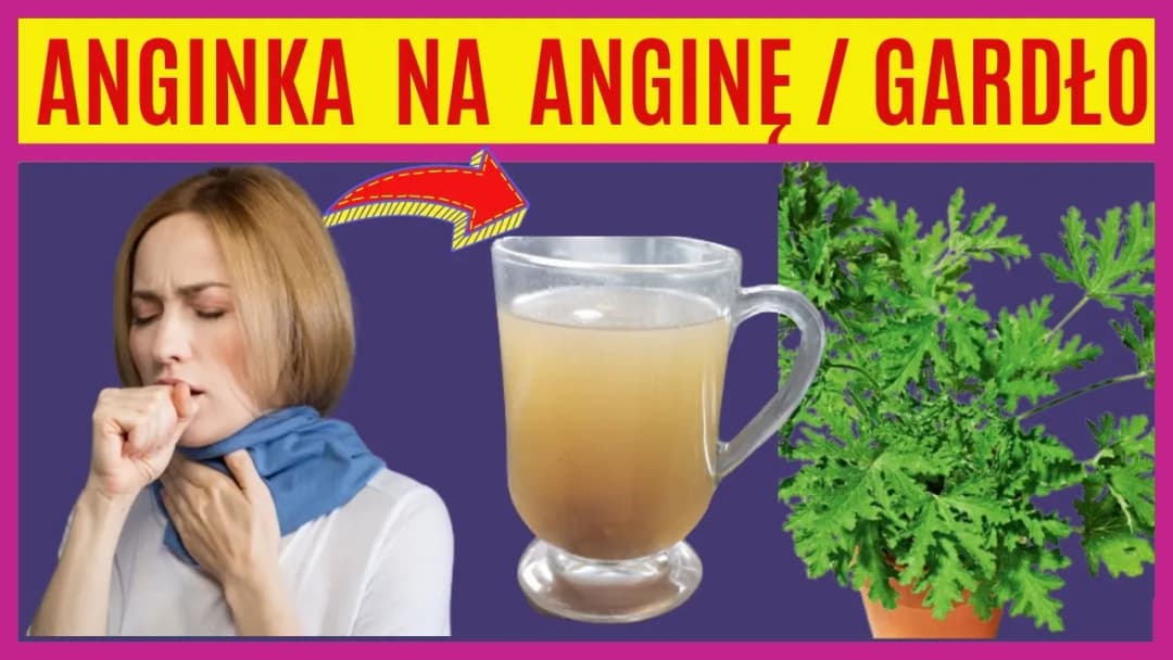 Domowa herbata z geranium: Prosty przepis na zdrowy napój w 5 minut