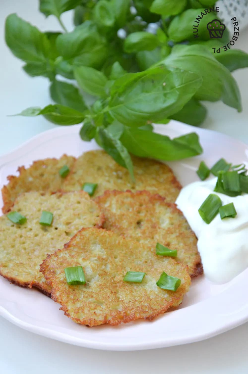 Placki ziemniaczane w lodówce: Uważaj, by nie zmarnować! Sprawdź bezpieczny czas przechowywania