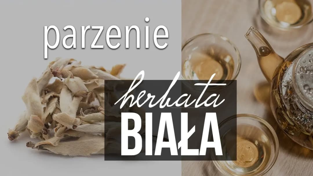 Idealna biała herbata krok po kroku. Poznaj sekretne sposoby parzenia